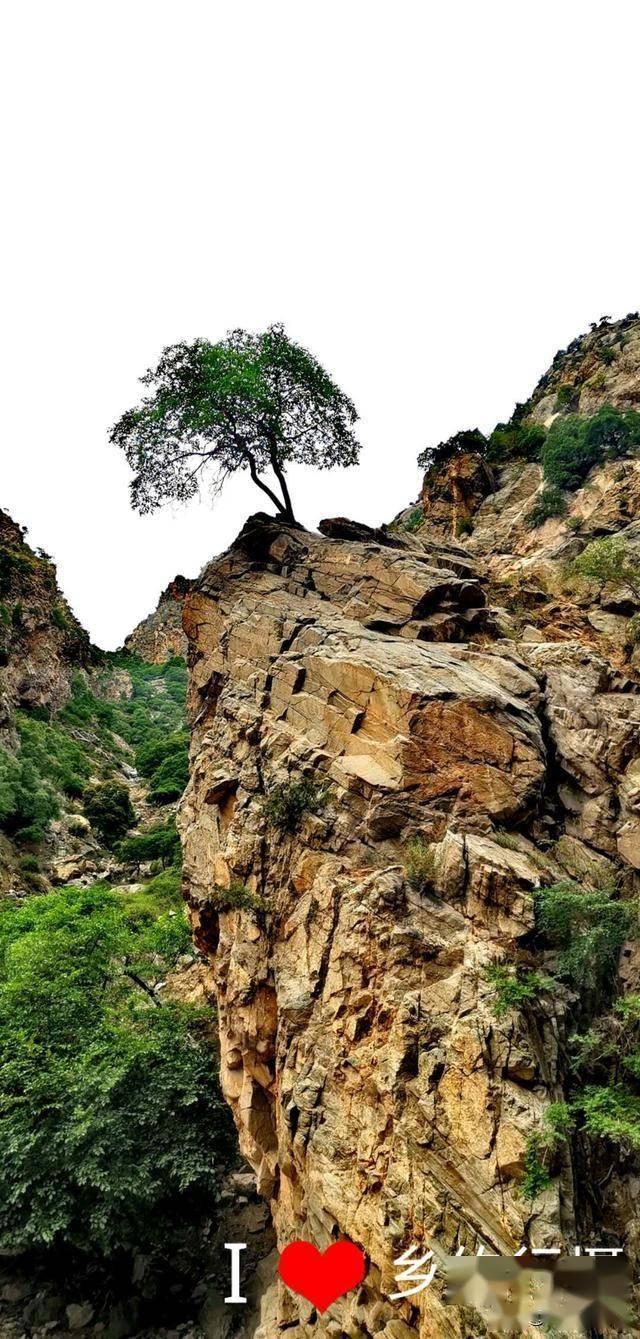 巫师之徒